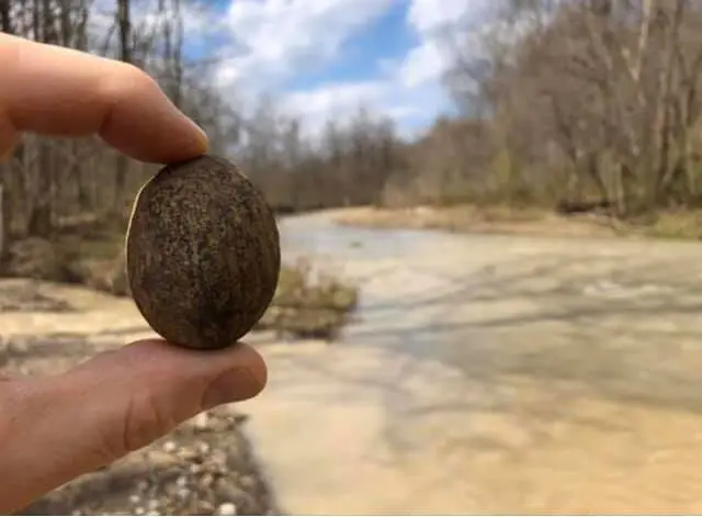 A hand holding a smooth stone beside a flooded stretch of the Cuyahoga River